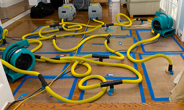 Professional Water Extraction technician working in Salem, WI